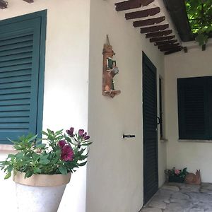 B&B Uva Fragola